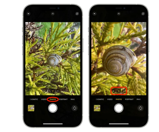如何在 iPhone 13 Pro 系列中拍摄和控制微距照片和视频?