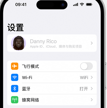 华宁appleID维修服务iPhone设置中Apple ID显示为灰色无法使用