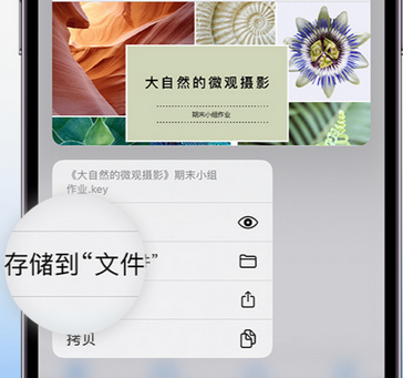 华宁apple维修中心分享iPhone文件应用中存储和找到下载文件