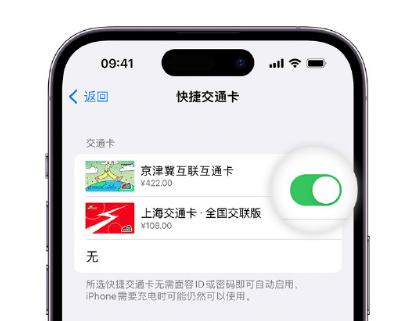 华宁apple维修点分享iPhone上更换Apple Pay快捷交通卡手绘卡面 