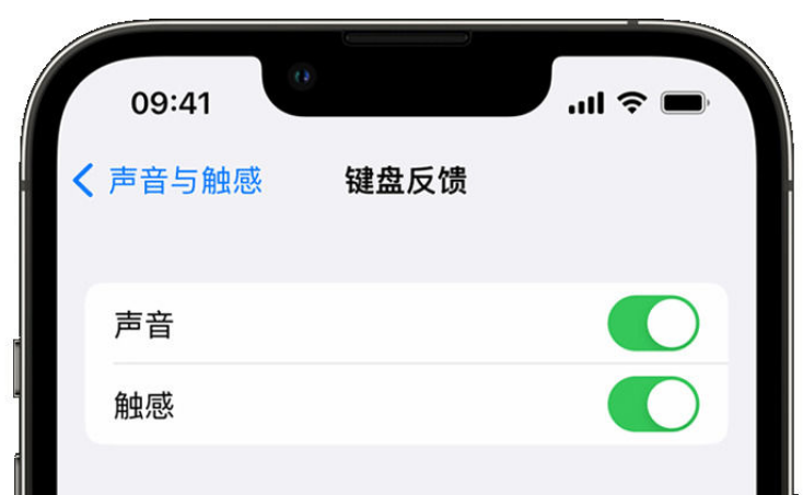 华宁苹果手机维修分享iPhone 14触感键盘使用方法 