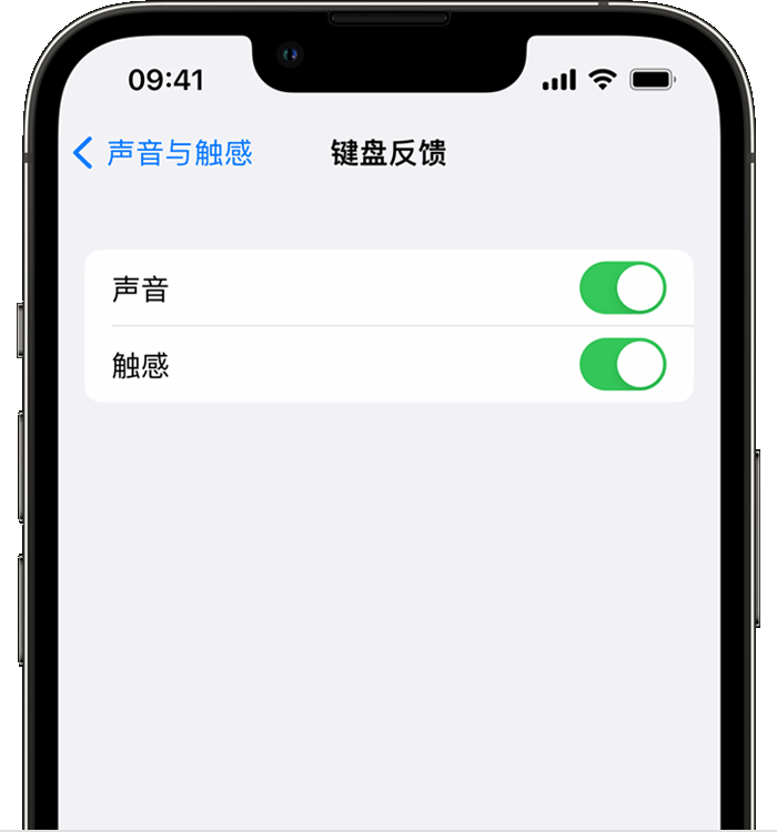 华宁苹果14维修店分享如何在 iPhone 14 机型中使用触感键盘 