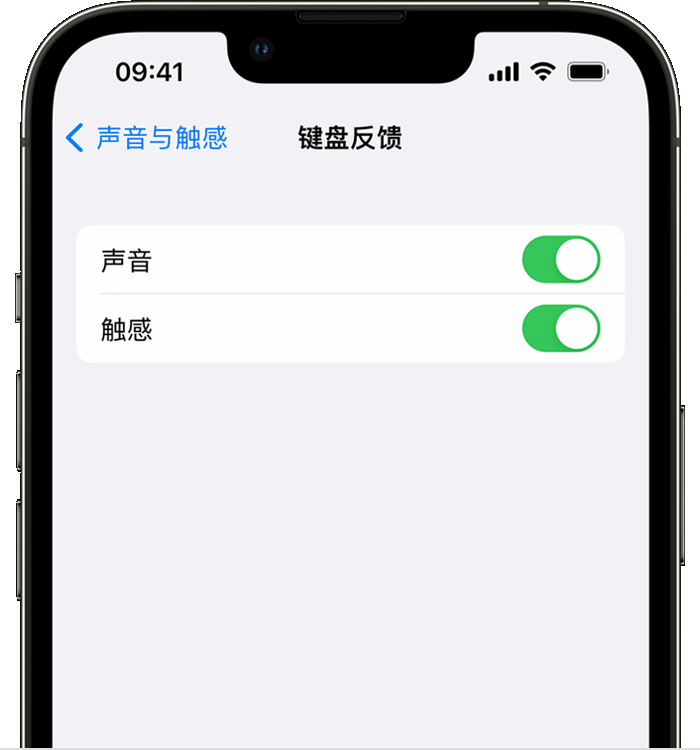 华宁苹果14维修分享iPhone 14 系列机型如何开启键盘声音或触感反馈 