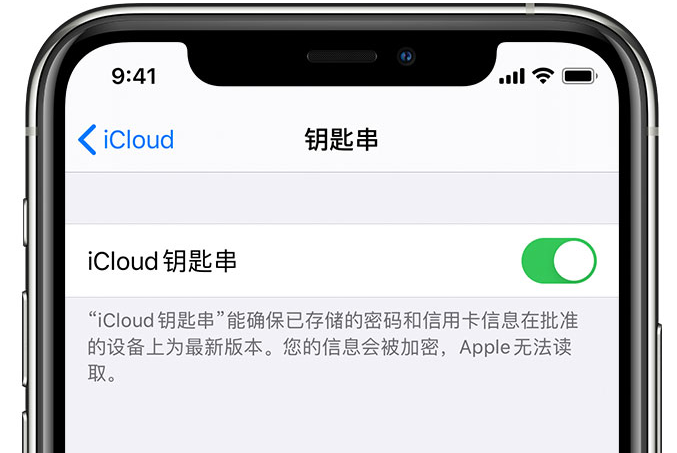 华宁苹果手机维修分享在 iPhone 上开启 iCloud 钥匙串之后会储存哪些信息 