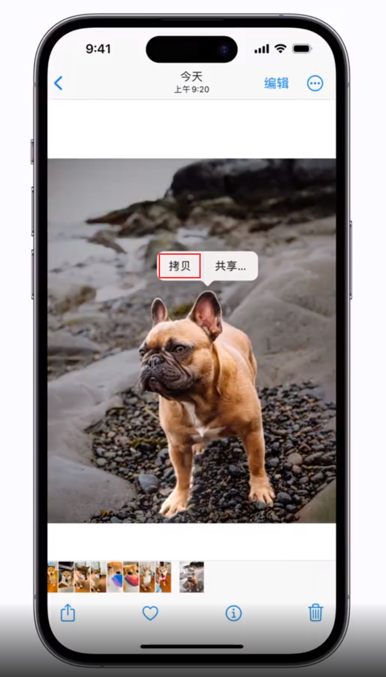华宁苹果手机维修分享 iOS 16 自带一键抠图功能 