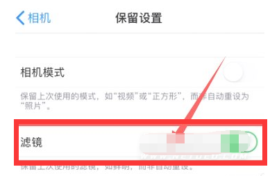 华宁苹果13维修分享iPhone13拍照有绿点是怎么回事 