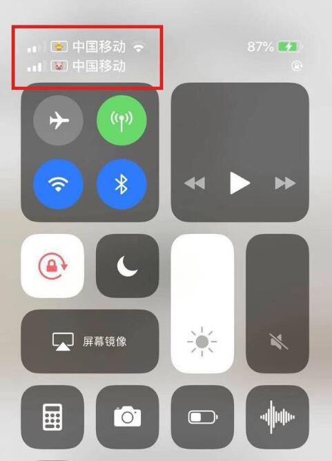 华宁苹果手机维修分享为 iPhone 12 双卡设置标签 